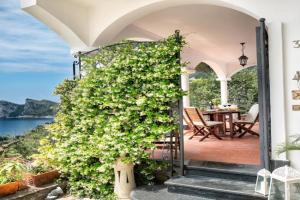 Medusa And The Seahorse Villa, Nerano