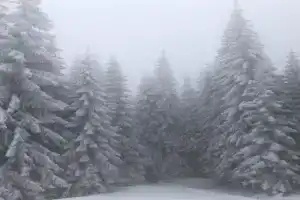 Mecava Apartmani, Kopaonik