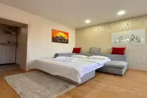 ApartPoltava Zatishna 1-KIMNATNA studiya,NOVOBUDOVA v samomu TsENTRI mista, bankivskiy ChEK, Poltava