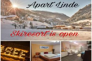 Apart Linde inkl Silvretta Card, See