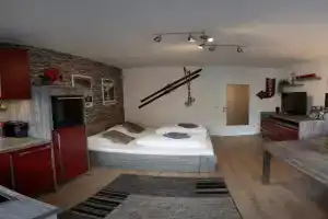 Retro Apartment, Kaprun