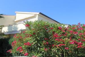 Apartment Grahovac 4, Malinska