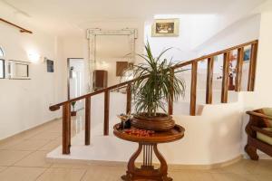 Pedro Navarino 3 Guest house, Laganas