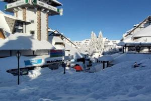 Apartman SREBRNA PAHULjA-Konaci, Kopaonik