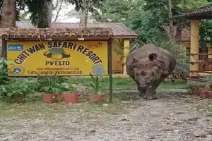 Chitwan Safari Resort, Sauraha
