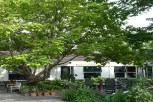 Huis bij de Catalpa Guest house, Dordrecht
