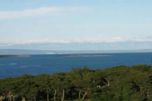 Apartman Dana, Premantura