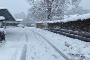 Haus Holly inkl. Chiemgaukarte Guest house, Ruhpolding