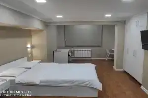 1-bedroom Apartment in the very city center (Shedevr), Tashkent