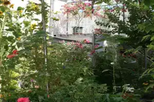 TerasenAppartement Apartments, Worms