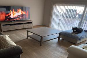 appartement aan zee Apartments, Blankenberge