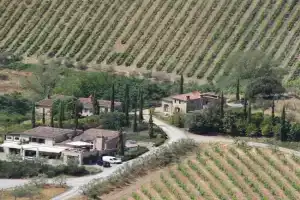 Nicchio Apartments, Gaiole in Chianti