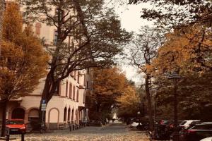 Roter Sandstein Zink Apartments, Mainz
