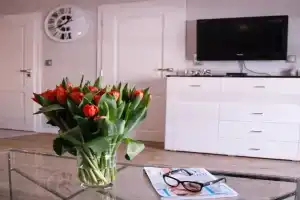 APARTAMENT w CENTRUM-GARAŻ, Kielce