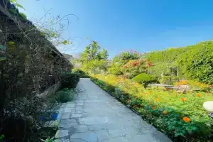 Travellers Jungle Camp-Sauraha, Sauraha