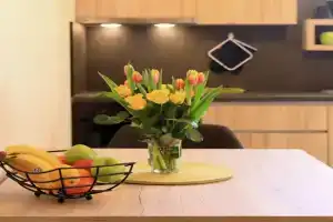 APARTMAN ZARA, Zadar