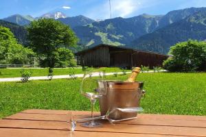 LANDHAUS DORNAU Apartments, Mayrhofen
