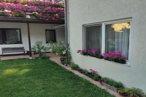 Apartman MITIĆ, Pozarevac