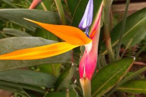 la sterlizia Apartments, Porto Recanati