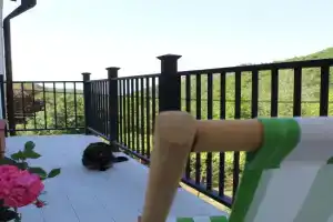 The nature Apartments, Sighnaghi