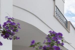 GinGerAouse Guest house, San Foca