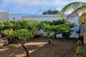 Casa Vacanze Nonna Maria, Carpignano Salentino