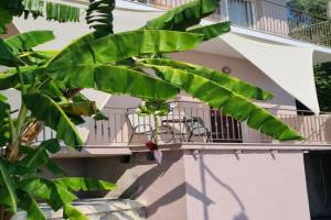 Gerys house, Nikiana