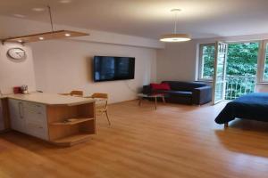 Apartmán 46m2 s balkonem v lázeňském centru, Karlovy Vary