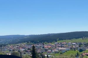 AUSZEIT Apartments, Schonach