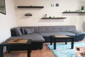 Viki Apartment CENTAR, Nis