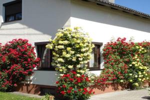Villa Lindwurm, Klagenfurt
