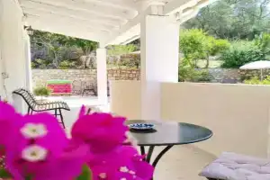 Alegria studios, Gaios