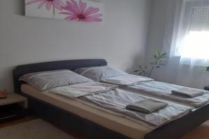 Tukán Apartman Hajdúszoboszló, Hajduszoboszlo