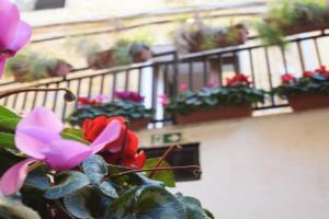 Scalia House appartamento via Atenea, Agrigento