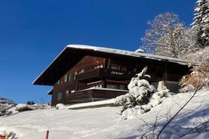 Apartment Helene Apt Diana by Interhome, Wengen