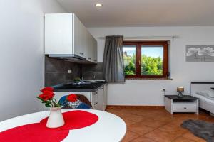 Studio Narcisa, Umag