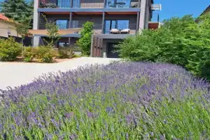 Profi Kecó Apartman, Balatonalmadi
