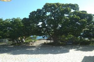 Apartman Martin, Senj