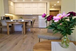 Beautiful Apartment in the heart of, Birstonas