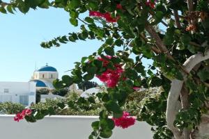 Sensia Luxury Apartment with Hot tub, Oia