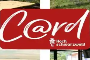 Schwarzwaldhorst Fewo 2 - mit 4 Schlafzimmer -, Liftverbund Feldberg Apartments, Todtnau