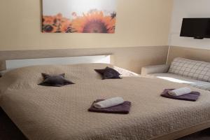 Apartmány Svítkov 79, Pardubice