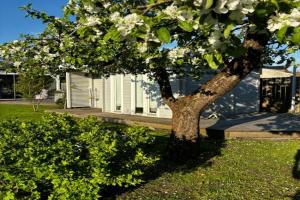 Breeze Residence Gardenhouse, Parnu