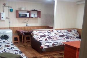 1-ya Slobodskaya, 17A, ugol prospekta Tsentralnogo, 3 divana, Wi-Fi, otdelnyy vhod. Apartments, Mykolaiv