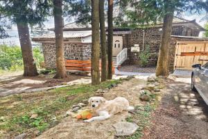 Mountain Home - Galyatető Guest house, Paradsasvar