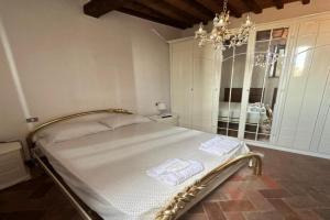 Casa di Viola, Scansano