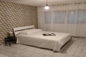 Studio Galy, Metz