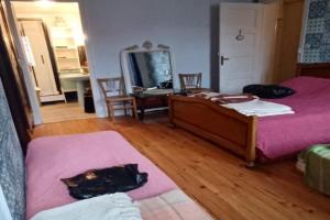 Chez Virginie - chambre du Bourg Guest house, Lourdes