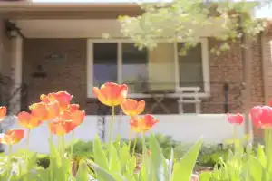 Family-Friendly Retreat 30-Night Minimal Guest house, Denver