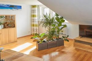 Ferienwohnung Sonya Apartments, Andernach